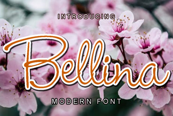 Bellina: The Script Font That Elevates Your Campaigns