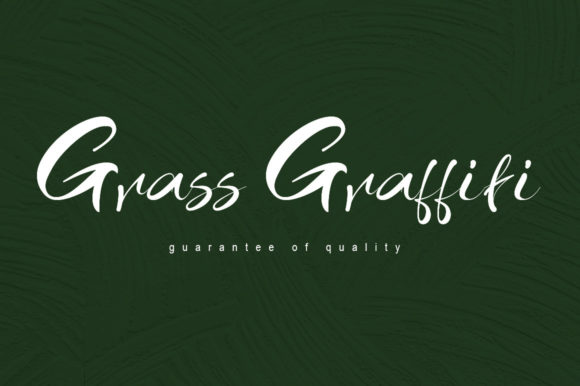 Grass Graffiti: A Script Font for Creative Projects