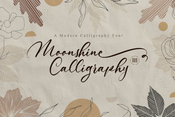 Moonshine Calligraphy for Branding and Design